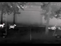 Termografia monoculare