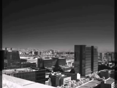 Termografia monoculare