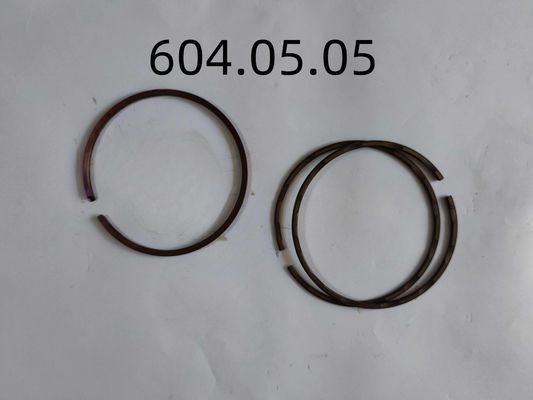 IMMAGAZZINI l'anello di stantuffo di 604.05.05 accessori dell'aeroplano